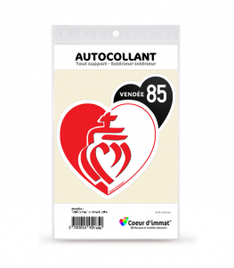 2 Autocollants Plaque Immatriculation Département 85 - Vendée - Résistants Aux UV Et Lavages - Garantie 5 Ans - Fabriqués En France - 3