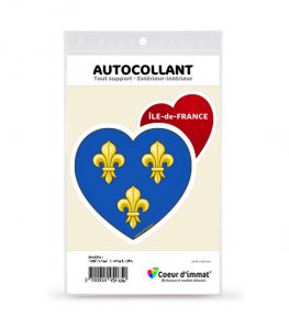 Autocollants Stickers plaque immatriculation voiture auto département 94  Val-de-Marne Logo Région Ile-de-France Full Noir Lot de 2