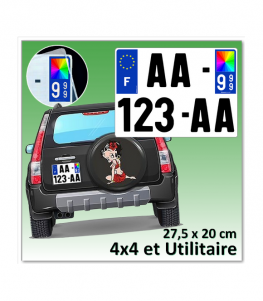 Plaque d'immatriculation Plexi 4x4 et Utilitaire 27,5 x 20 cm (Identifiants fond bleu)