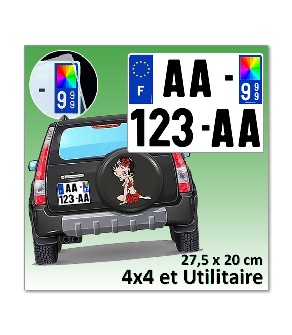 Acheter Plaque d'immatriculation auto plexi pas cher