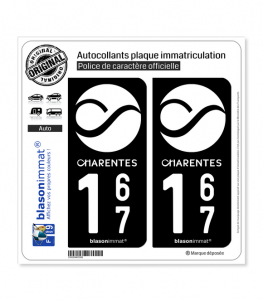 2 Adesivi Per Targa Auto Nuova-Aquitania Dipartimento 24 | Adesivi In Vinile Lucido 9,7x4,6 Cm | Conformi Alle Norme | Fabbricati In Francia