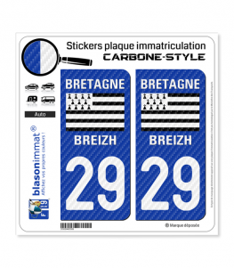 29 Bretagne - LT Carbone-Style | Stickers plaque immatriculation