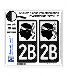 2B Corse - LT Carbone-Style | Stickers plaque immatriculation