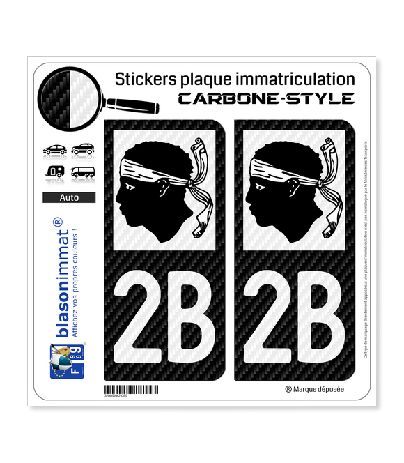 2 Stickers autocollants plaque immatriculation 13 Région Sud - LT  Carbone-Style