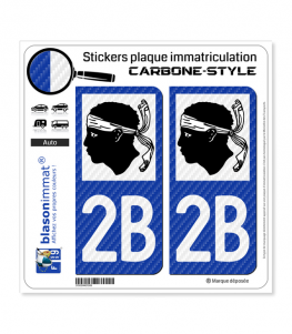 2B Corse - LT Carbone-Style | Stickers plaque immatriculation