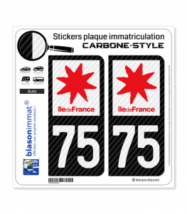 75 Île-de-France - LT Carbone-Style | Stickers plaque immatriculation