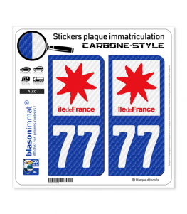 77 Île-de-France - LT Carbone-Style | Stickers plaque immatriculation