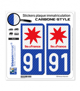 91 Île-de-France - LT Carbone-Style | Stickers plaque immatriculation