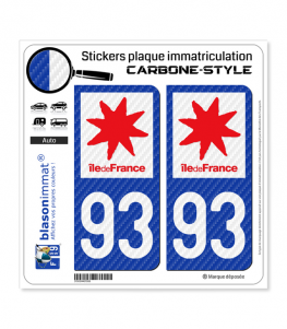 93 Île-de-France - LT Carbone-Style | Stickers plaque immatriculation
