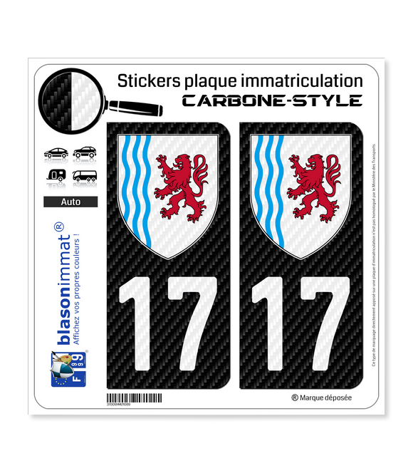 17 Nouvelle-Aquitaine - LT Carbone-Style | Stickers plaque immatriculation