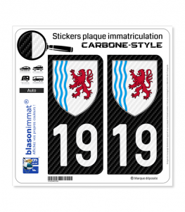 19 Nouvelle-Aquitaine - LT Carbone-Style | Stickers plaque immatriculation