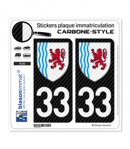 33 Nouvelle-Aquitaine - LT Carbone-Style | Stickers plaque immatriculation
