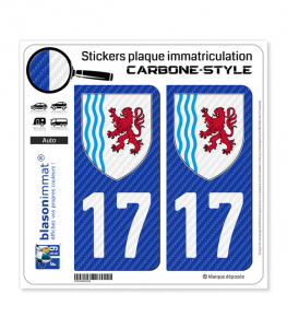 17 Nouvelle-Aquitaine - LT Carbone-Style | Stickers plaque immatriculation