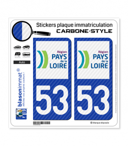 53 Pays de la Loire - LT Carbone-Style | Stickers plaque immatriculation