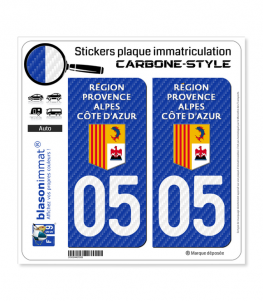 05 Région Sud - LT Carbone-Style | Stickers plaque immatriculation