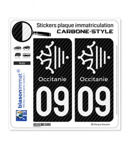 2 Stickers autocollants plaque immatriculation 13 Région Sud - LT  Carbone-Style