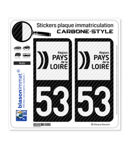 53 Pays de la Loire - LT bi-ton Carbone-Style | Stickers plaque immatriculation