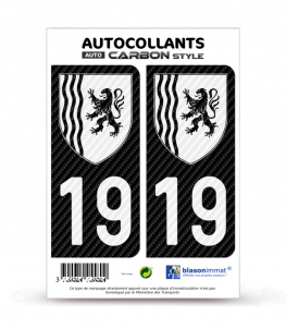 19 Nouvelle-Aquitaine - LT bi-ton Carbone-Style | Stickers plaque immatriculation