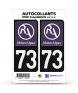 73 Rhône-Alpes - LT II Carbone-Style | Stickers plaque immatriculation