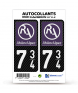 734 Rhône-Alpes - LT II Carbone-Style | Stickers plaque immatriculation