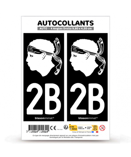 Lot De 2 Autocollants Plaque Immatriculation Corse 2B - Stickers Voiture, Camion, Caravane - Vinyle Haute Qualité, Anti-UV, 5-7 Ans Durée