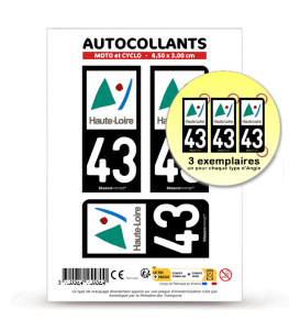 Autocollant Plaque Immatriculation 45 Centre-Val De Loire - LT Bi-ton Carbone-Style